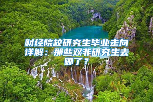 财经院校研究生毕业走向详解：那些双非研究生去哪了？