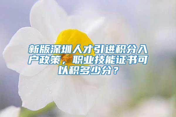 新版深圳人才引进积分入户政策，职业技能证书可以积多少分？