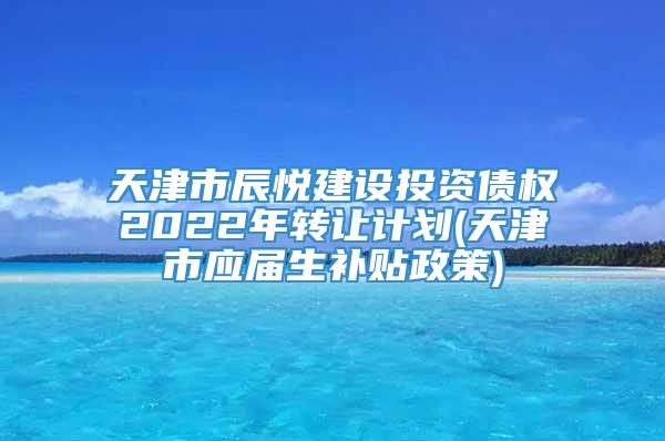 天津市辰悦建设投资债权2022年转让计划(天津市应届生补贴政策)