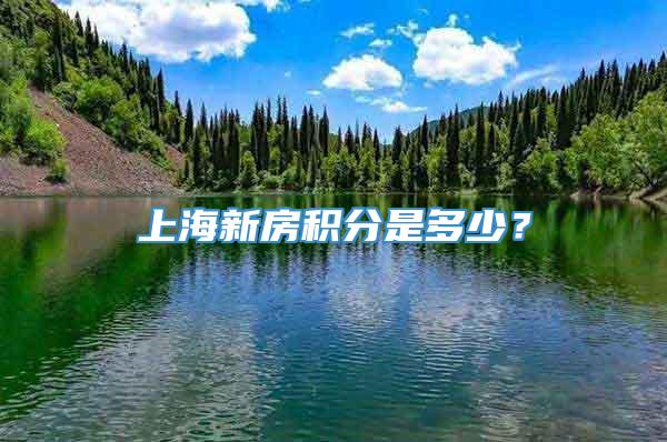 上海新房积分是多少？