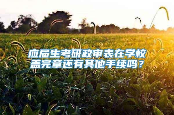 应届生考研政审表在学校盖完章还有其他手续吗？