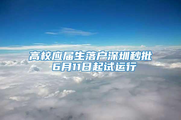 高校应届生落户深圳秒批 6月11日起试运行