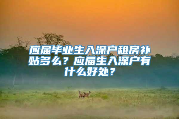 应届毕业生入深户租房补贴多么？应届生入深户有什么好处？