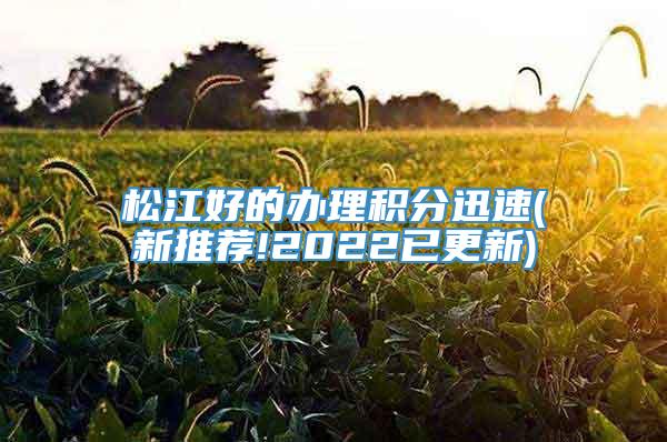 松江好的办理积分迅速(新推荐!2022已更新)