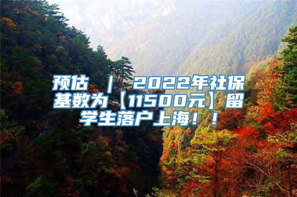 预估 ｜ 2022年社保基数为【11500元】留学生落户上海！！