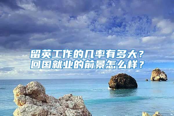 留英工作的几率有多大？回国就业的前景怎么样？