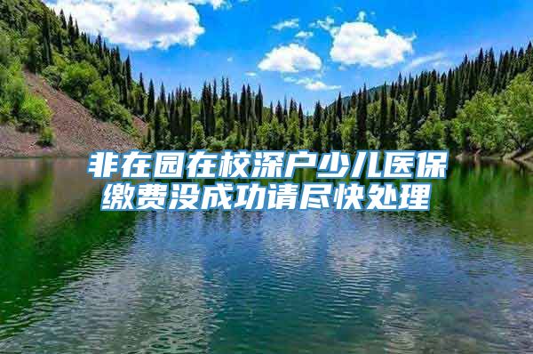 非在园在校深户少儿医保缴费没成功请尽快处理