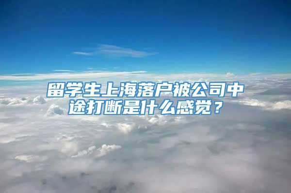 留学生上海落户被公司中途打断是什么感觉？