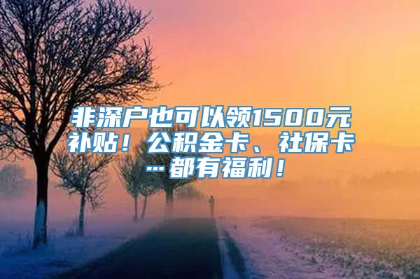 非深户也可以领1500元补贴！公积金卡、社保卡…都有福利！