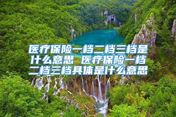 医疗保险一档二档三档是什么意思 医疗保险一档二档三档具体是什么意思