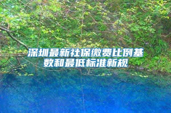 深圳最新社保缴费比例基数和最低标准新规