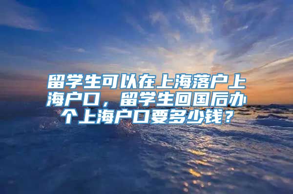 留学生可以在上海落户上海户口，留学生回国后办个上海户口要多少钱？