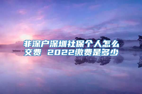 非深户深圳社保个人怎么交费 2022缴费是多少