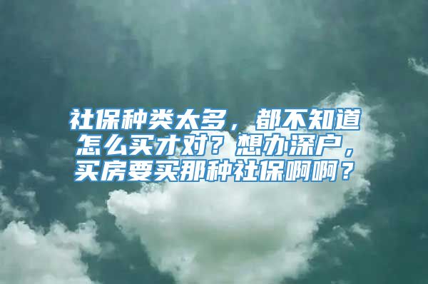 社保种类太多，都不知道怎么买才对？想办深户，买房要买那种社保啊啊？