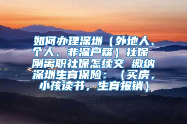 如何办理深圳（外地人、个人、非深户籍）社保 刚离职社保怎续交 缴纳深圳生育保险：（买房，小孩读书，生育报销）