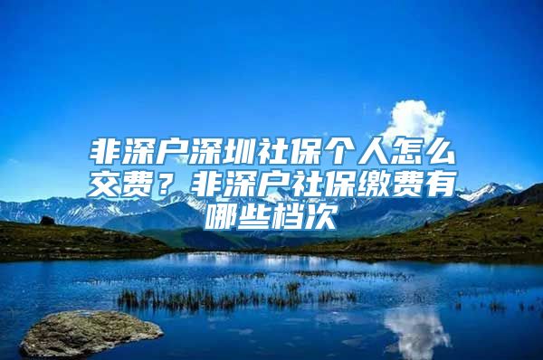 非深户深圳社保个人怎么交费？非深户社保缴费有哪些档次