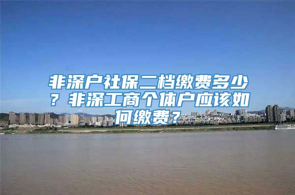 非深户社保二档缴费多少？非深工商个体户应该如何缴费？