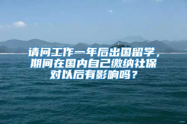 请问工作一年后出国留学，期间在国内自己缴纳社保对以后有影响吗？