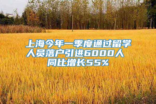 上海今年一季度通过留学人员落户引进6000人 同比增长55%