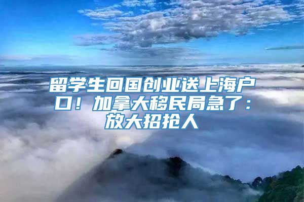 留学生回国创业送上海户口！加拿大移民局急了：放大招抢人