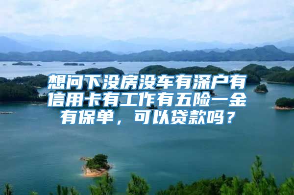 想问下没房没车有深户有信用卡有工作有五险一金有保单，可以贷款吗？