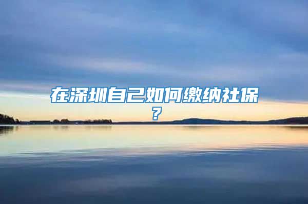 在深圳自己如何缴纳社保？