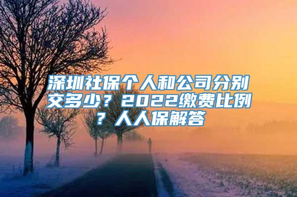 深圳社保个人和公司分别交多少？2022缴费比例？人人保解答