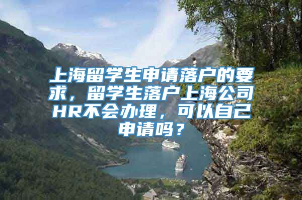 上海留学生申请落户的要求，留学生落户上海公司HR不会办理，可以自己申请吗？