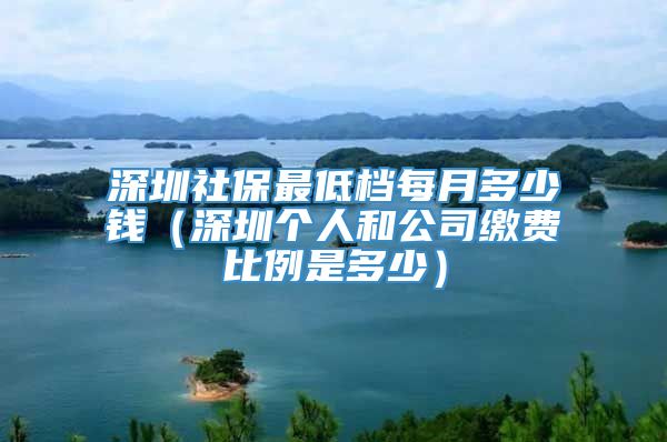 深圳社保最低档每月多少钱（深圳个人和公司缴费比例是多少）