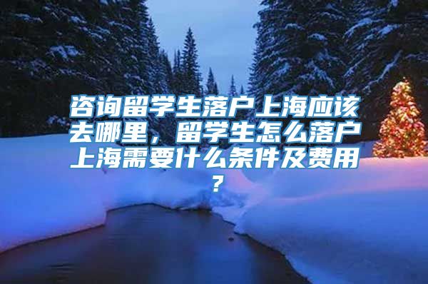 咨询留学生落户上海应该去哪里，留学生怎么落户上海需要什么条件及费用？