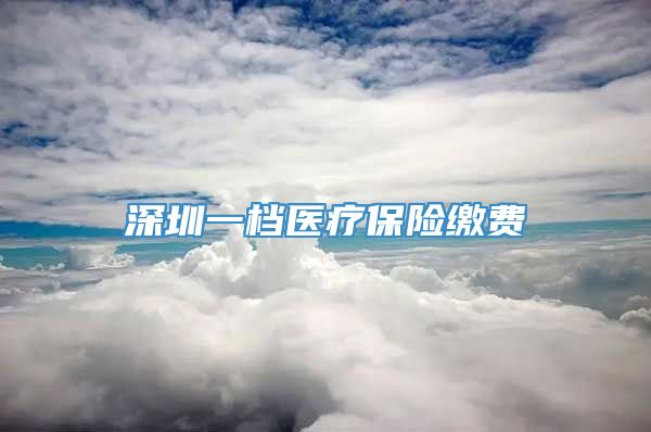 深圳一档医疗保险缴费