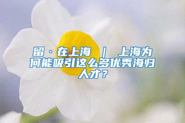 留·在上海 ｜ 上海为何能吸引这么多优秀海归人才？