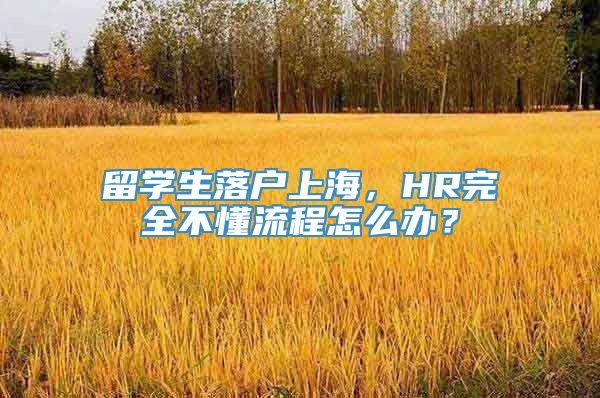 留学生落户上海，HR完全不懂流程怎么办？