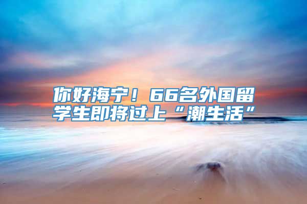 你好海宁！66名外国留学生即将过上“潮生活”