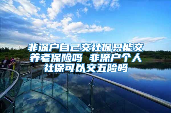 非深户自己交社保只能交养老保险吗 非深户个人社保可以交五险吗