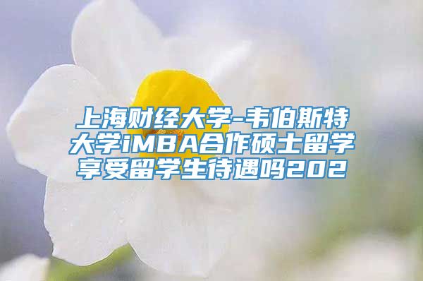 上海财经大学-韦伯斯特大学iMBA合作硕士留学享受留学生待遇吗202