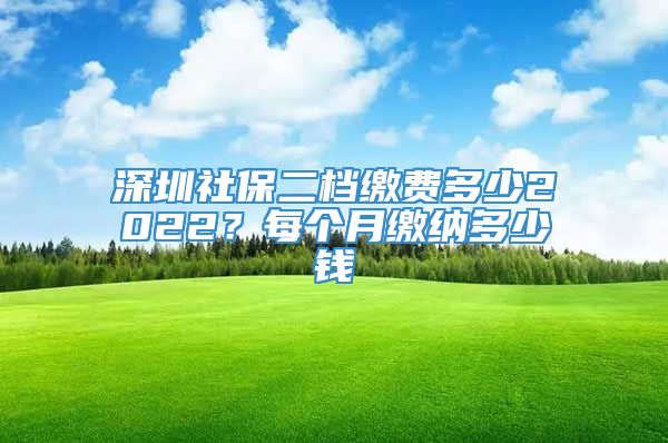 深圳社保二档缴费多少2022？每个月缴纳多少钱