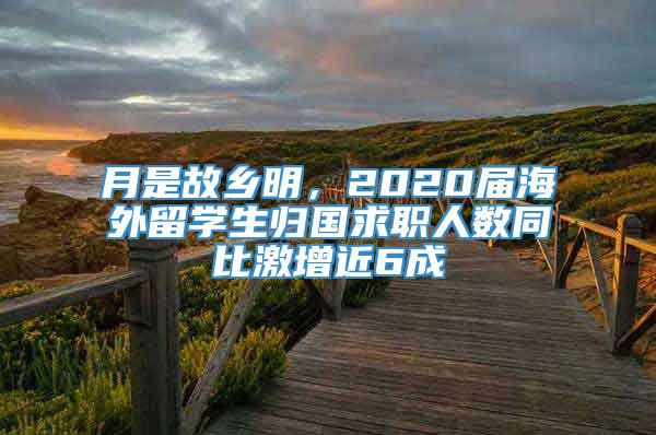 月是故乡明，2020届海外留学生归国求职人数同比激增近6成