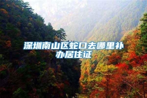 深圳南山区蛇口去哪里补办居住证