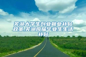 芜湖大学生创业就业补贴政策,芜湖应届毕业生生活补贴