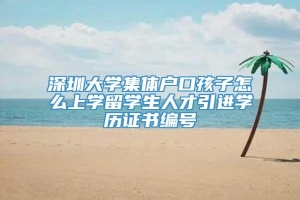 深圳大学集体户口孩子怎么上学留学生人才引进学历证书编号