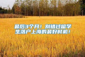 最后3个月！别错过留学生落户上海的最好时机！