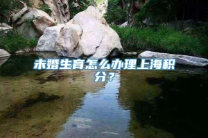 未婚生育怎么办理上海积分？