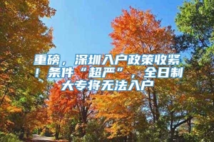 重磅，深圳入户政策收紧！条件“超严”，全日制大专将无法入户