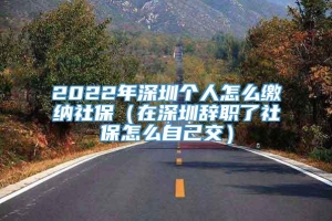 2022年深圳个人怎么缴纳社保（在深圳辞职了社保怎么自己交）