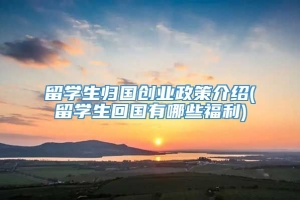 留学生归国创业政策介绍(留学生回国有哪些福利)