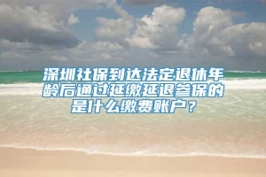 深圳社保到达法定退休年龄后通过延缴延退参保的是什么缴费账户？