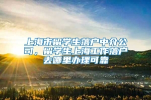 上海市留学生落户中介公司，留学生上海工作落户去哪里办理可靠