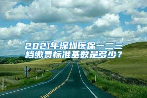 2021年深圳医保一二三档缴费标准基数是多少？