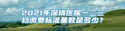 2021年深圳医保一二三档缴费标准基数是多少？